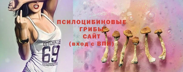 стаф Алексин