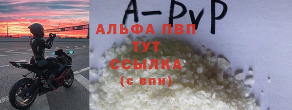 стаф Алексин