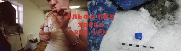 стаф Алексин