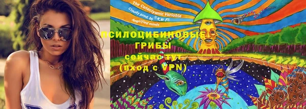 молекула духа Алексеевка