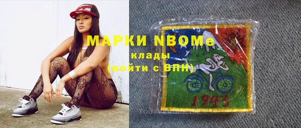 стаф Алексин