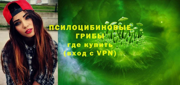 молекула духа Алзамай