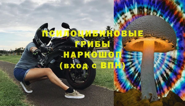 стаф Алексин