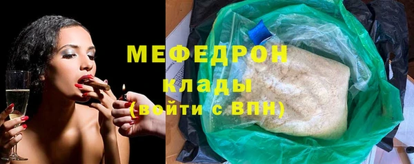 стаф Алексин