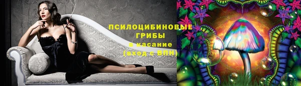 молекула духа Алзамай