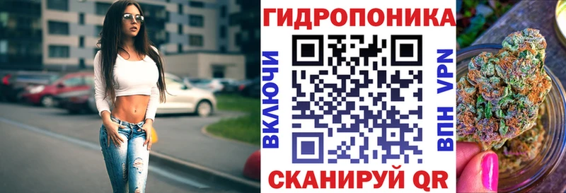 ОМГ ОМГ ССЫЛКА  Кемерово  МАРИХУАНА THC 21%  где купить наркоту 